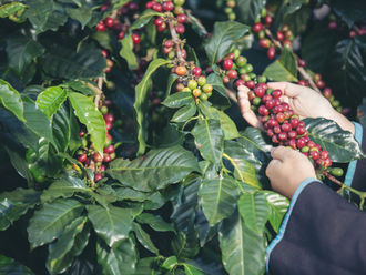 Vietnam has become one of the top Asian exporters to Spain