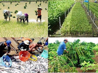 Việt Nam đặt mục tiêu đạt tỷ lệ cơ giới hóa tối thiểu 70% trong sản xuất nông nghiệp vào năm 2030