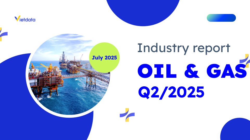 VIETNAM OIL & GAS INDUSTRY – H1/2025