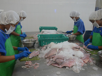 Việt Nam đặt mục tiêu xuất khẩu cá tra 2 tỷ USD vào năm 2024