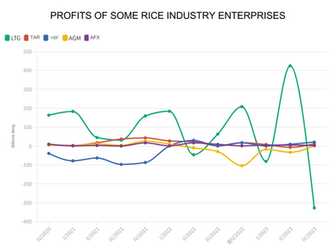Behind the record numbers, how are Vietnamese businesses in the rice industry doing?