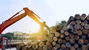 Faced with the risk of shortage, exporters struggle with fuel