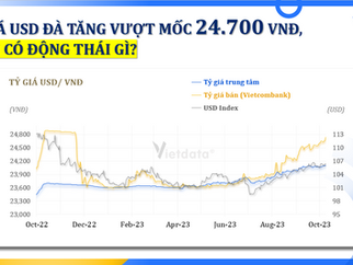 Tỷ giá USD đà tăng vượt mốc 24.700 đồng, NNHN có động thái gì?