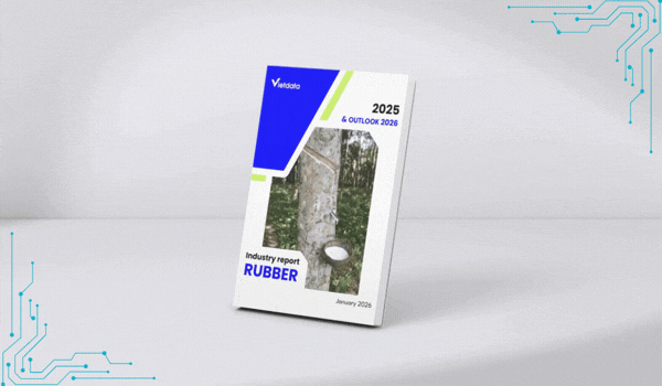 Vietnam rubber industry – 2025 review & 2026 outlook
