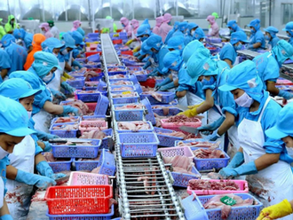 Vietnam's aquatic exports in Q3 ongoing face challenges: VASEP