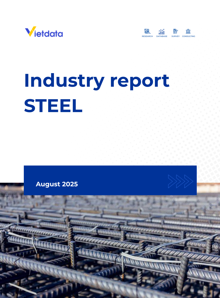 Vietnam's steel industry report - 08/2025