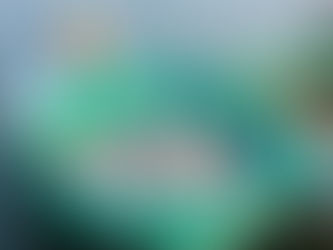 Từ 01/01/2026: Mỹ hạn chế nhập khẩu 12 nhóm thuỷ sản Việt Nam