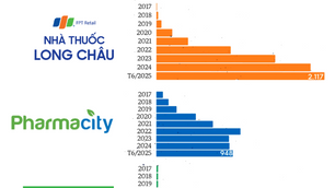 Statistical data highlights the breakneck pace at which modern retail pharmacy chains are expanding in Vietnam. Leading the charge is Long Châu Pharmacy, a subsidiary of FPT Retail (FRT)