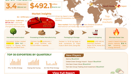 Vietnam wood pellet market Update – 1H 2025