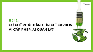 Chuyên đề về thị trường Carbon Kỳ 2: Cơ chế phát hành tín chỉ carbon: Ai cấp phép, ai quản lý?