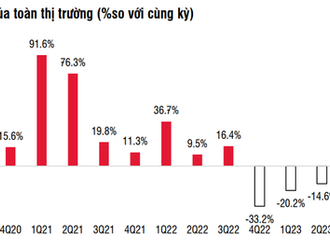 Update the business results of the first quarter of 2024 of listed Vietnam companies
