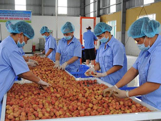 Vietnamese businesses to build and develop their brands in the UK market