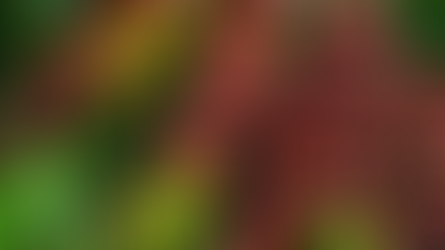 Vietnamese Q1 agricultural trade surplus nearly doubles thanks to robust increases in coffee and rice