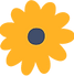 Flower.png