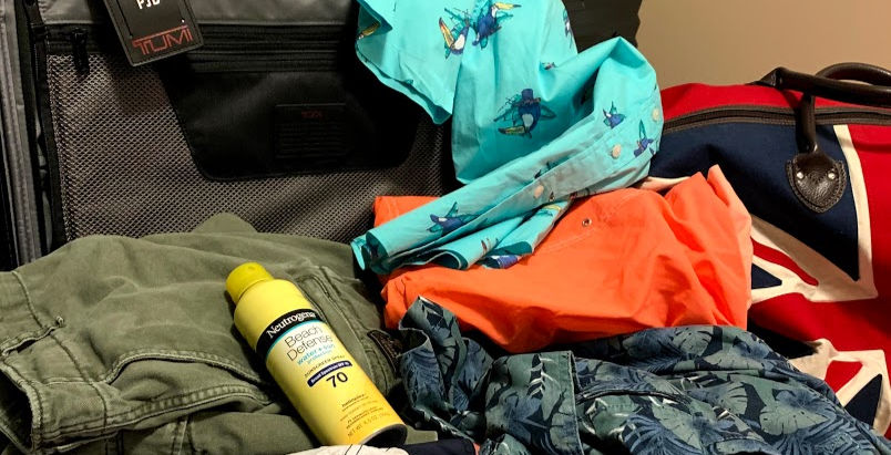 Cruise Packing Essentials