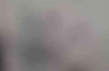 London Plane Sketch (60 x 42cm)