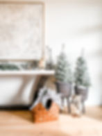 Top 2021 Christmas Trends Christmas Tree in Planter