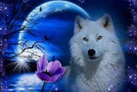 The Wolf - Diamond Painting - 40x50