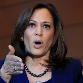 Divisive Politics: Kamala Harris's Campaign Aligns with Radical Rhetoric Against 71% of Americans