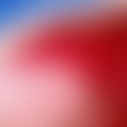 Red Wave Victories: Carrying Their Momentum Forward