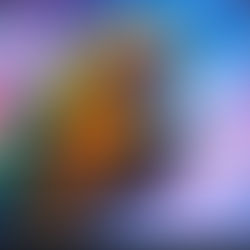 A colorful parrot holds a smartphone against a vibrant, blurred background with TikTok logos, creating a playful and tech-savvy vibe.