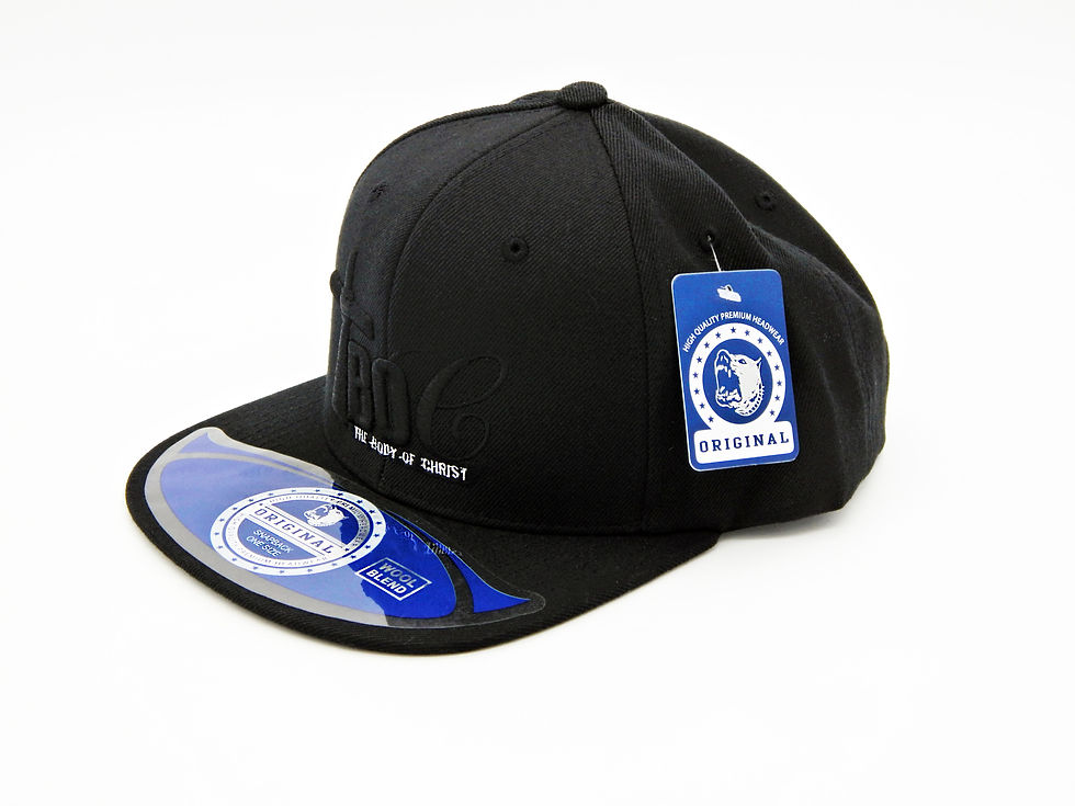 Thumbnail: Blackout TBOC Signature Hat