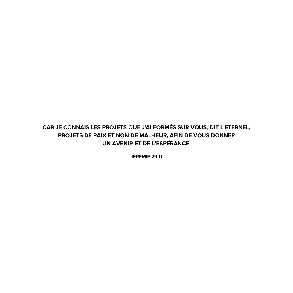 Miniature : HOODIE AMEN - JÉRÉMIE 29:11