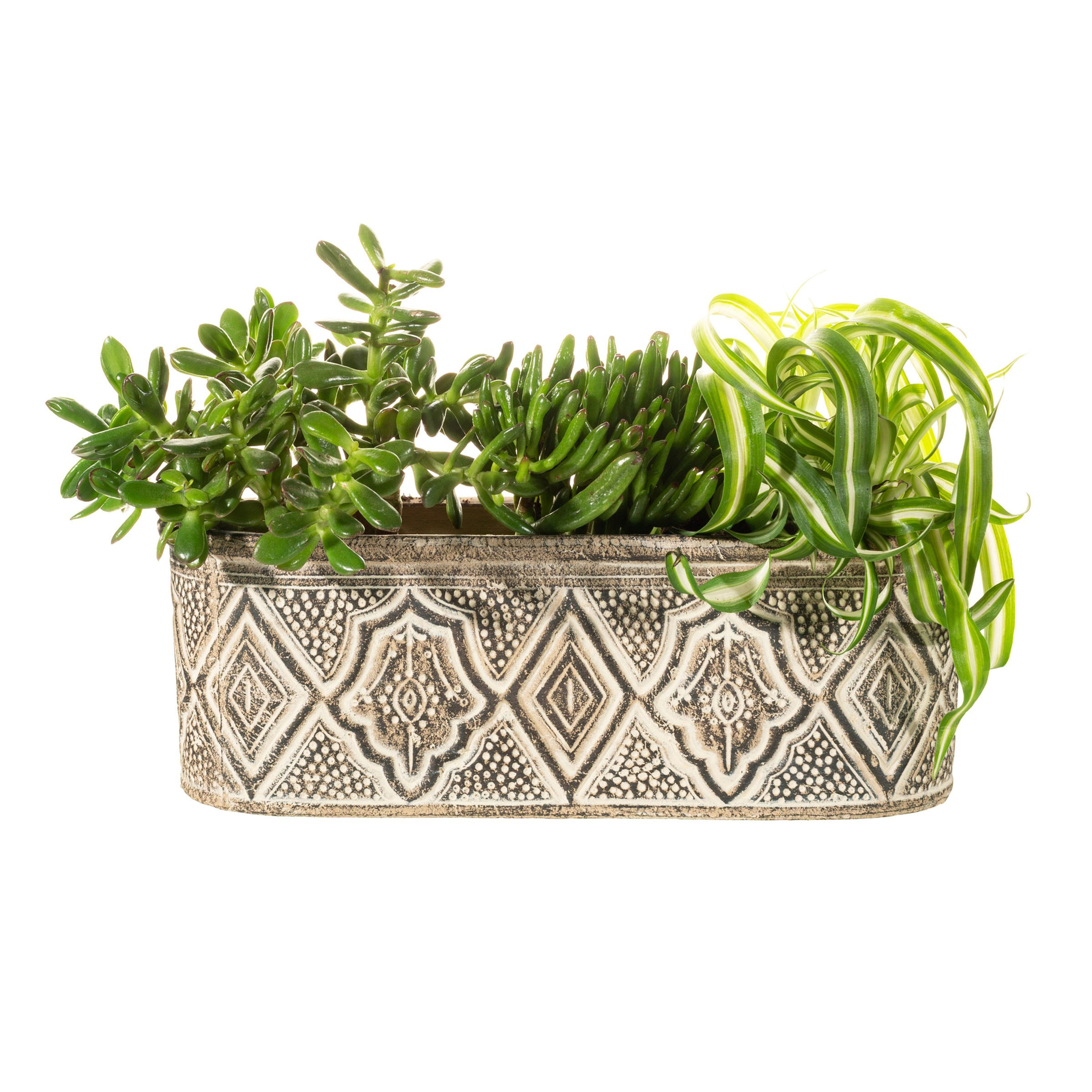 Amina Small Trough Planter