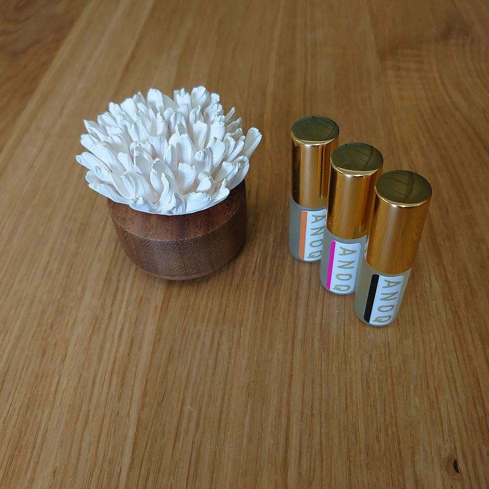 Thumbnail: Japanese Carnation Diffuser