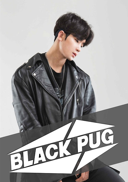 DJ Black pug_1.jpg
