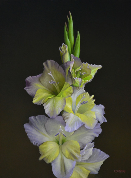 Yellow and Lavender Gladioli, 14x11, oil on ACM panel, 2022