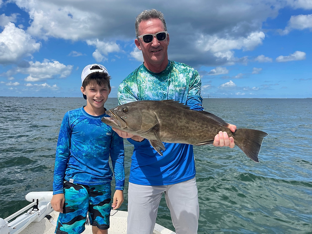 Gag Grouper