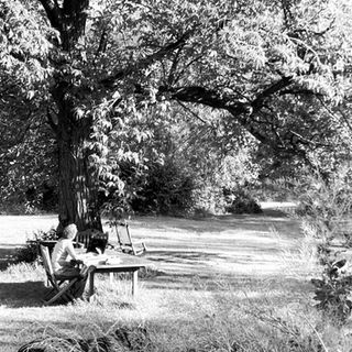 Participante à un atlier d'écriture en plein air