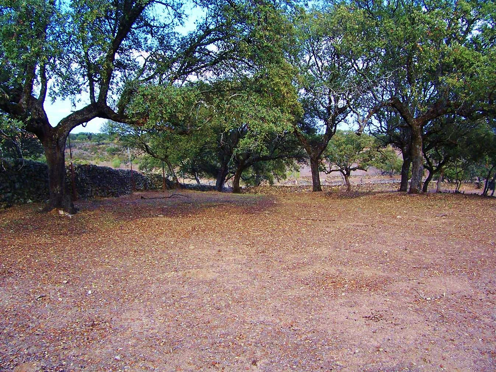 Guijo de Granadilla: LAS PEÑAS