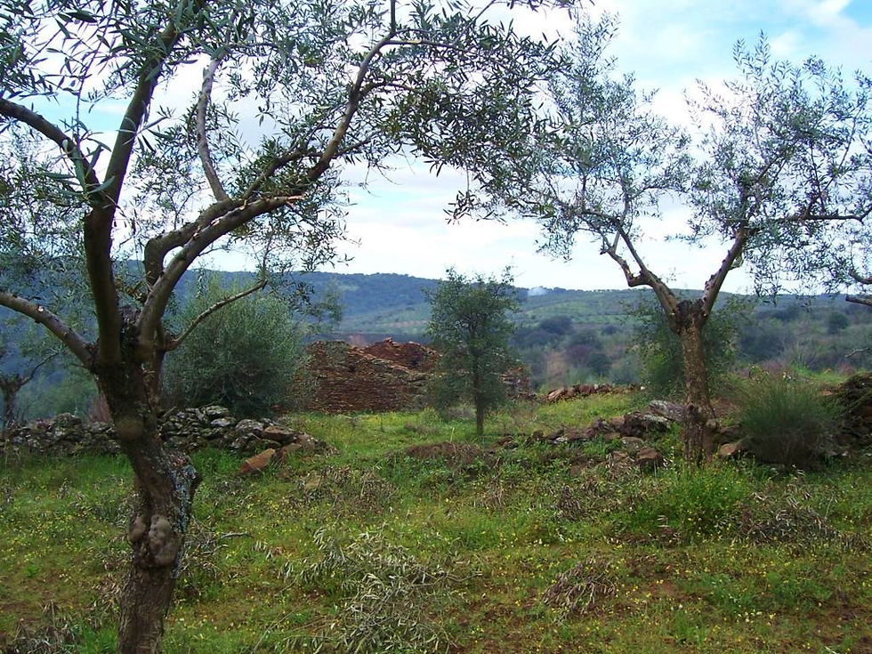Ahigal: VIDA CONTEMPLATIVA