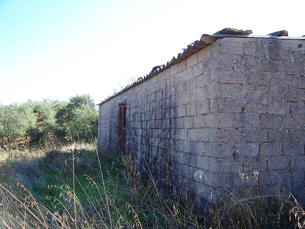 Ahigal: OLIVAR MIXTO
