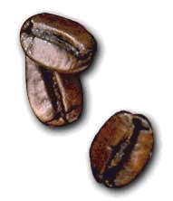 coffee beans