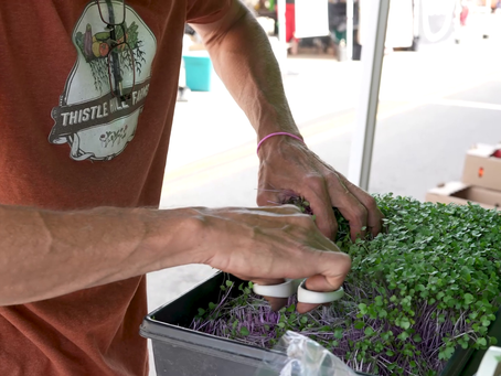 Embrace Farm Life & Rural Charm in Camrose County