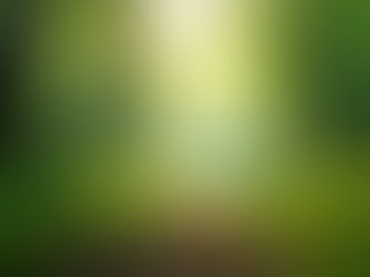 The Importance of Sustainable Living in Today's World