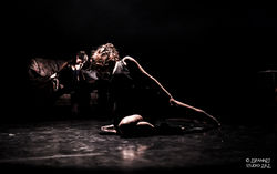 DANSE-0208