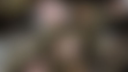 原木しいたけの栽培方法について🍄