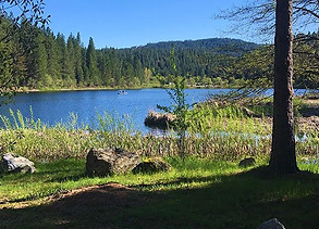 White Pines Lake in Arnold