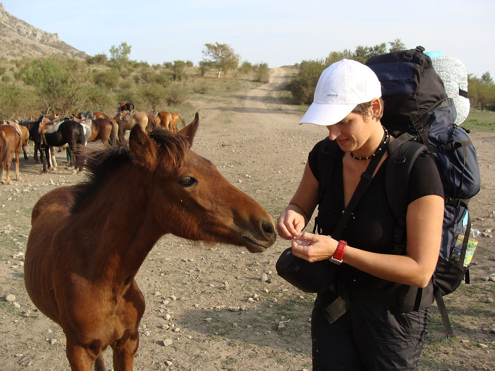 У подножья Демерджи