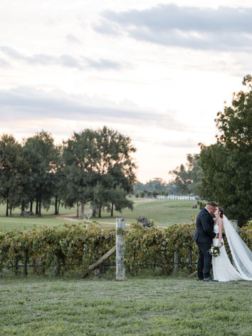 Bride and groom posing amongst the vineyard rows at Lazy River Estate Dubbo NSW.
