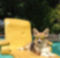 10441382_896025240481123_210621255453692738_n_edited_edited.jpg