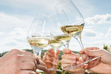 Weintour Weinviertel 2025