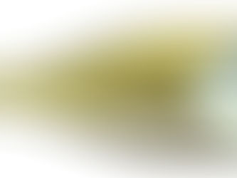 Jade Dove 2022 Chardonnay