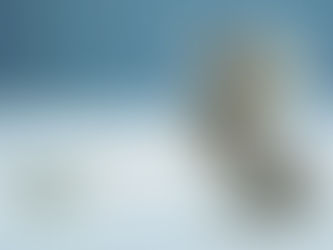 Minimumloon en Arbeidsinspectie: juridische aandachtspunten voor ondernemers