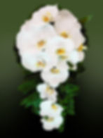 Warringah Florist Purple/White Bliss Bouquet