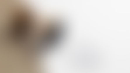 Let’s focus on Certified Translation